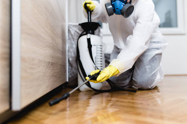 Best Flea Control Services  in Coeburn, VA