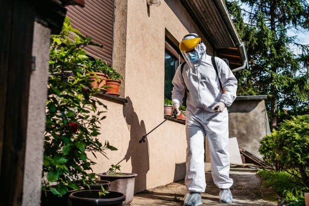 Best Bed Bug Extermination  in Coeburn, VA