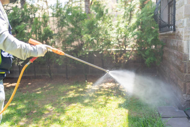 Best Residential Pest Control  in Coeburn, VA