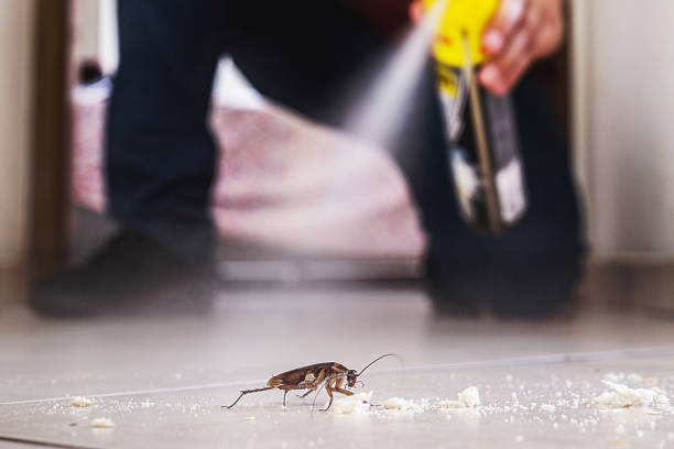 Best Pest Control Near Me  in Coeburn, VA