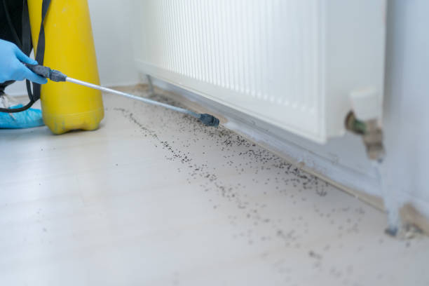 Best Best Pest Control Companies  in Coeburn, VA